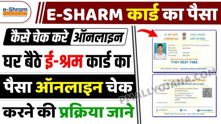 E Shram Card Ka Paisa Kaise Check Kare Online