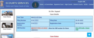 How to Check Online Court Case Status?