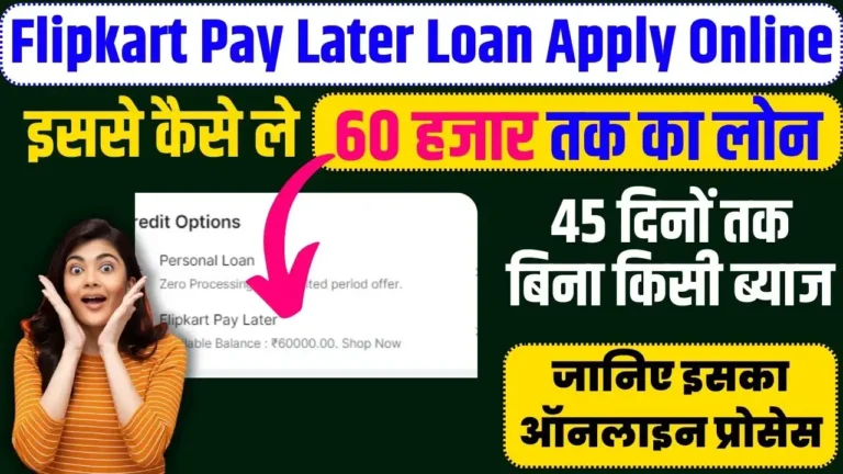 Flipkart Pay Later