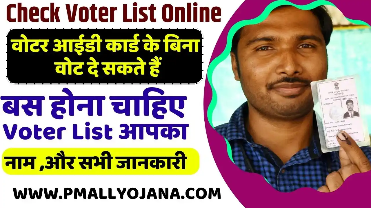 Check Voter List Online
