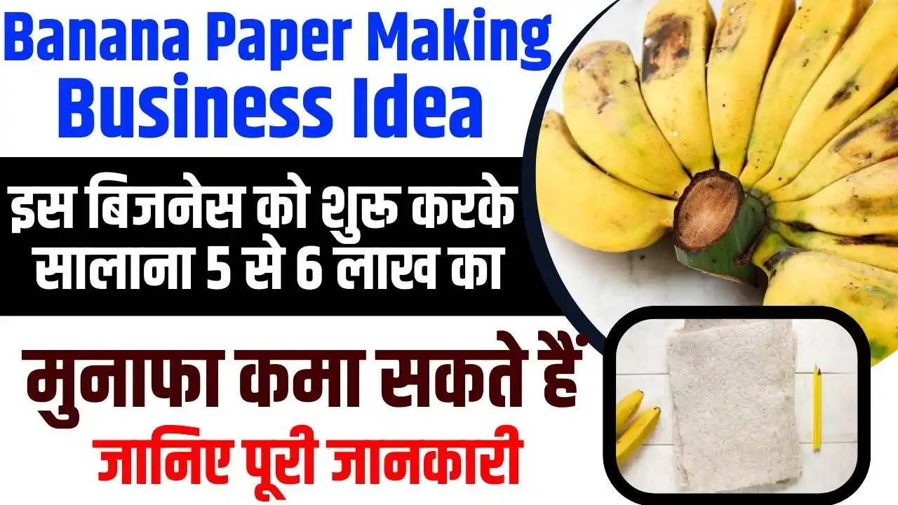 Banana Paper Making Business Idea